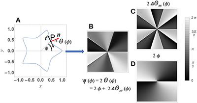 Geometric-Phase Waveplates for Free-Form Dark Hollow Beams